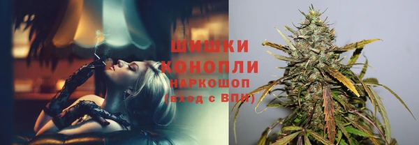 соль ск Гусев