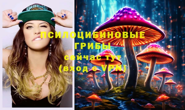 молекула духа Гусь-Хрустальный