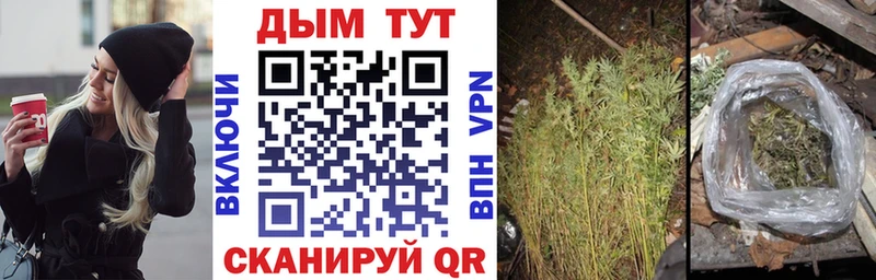 mega ССЫЛКА  Калининград  Бошки Шишки THC 21%  купить  сайты 